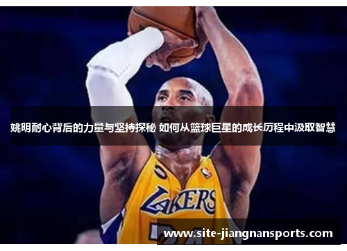 姚明耐心背后的力量与坚持探秘 如何从篮球巨星的成长历程中汲取智慧